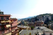  via delle magnolie 