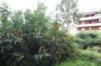 Appartamento sant'anna rapallo